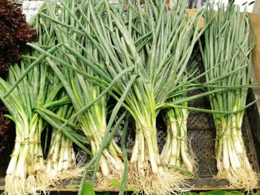 taze ve organik vitamin sebzeleri