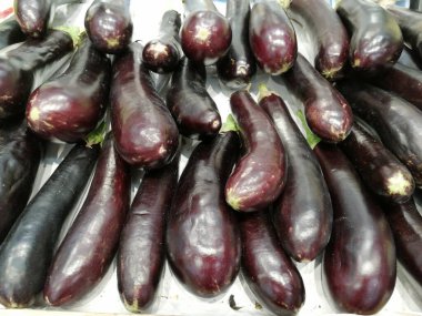 taze ve organik patlıcan.