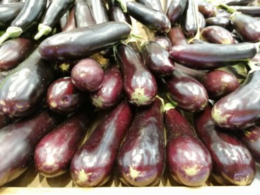 taze ve organik patlıcan.