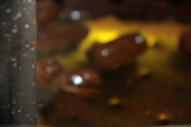 Şuruplu ve lezzetli Türk çöreği.