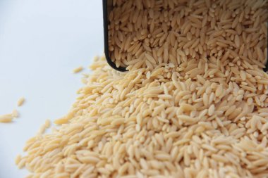 taze ve organik kurutulmuş erişte.