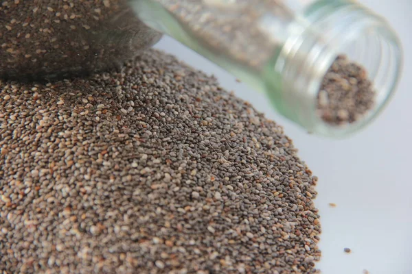 Frische Und Organische Schwarze Quinoa — Stockfoto