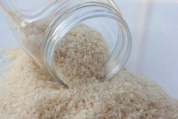 Frischer Und Biologischer Reis — Stockfoto