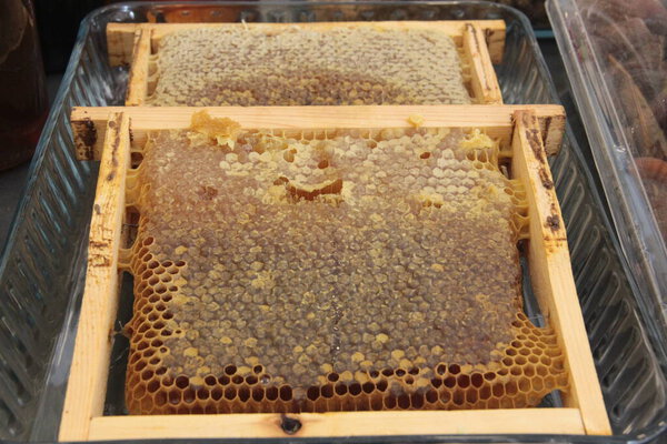 fresh and organic nuts with plenty of vitamins