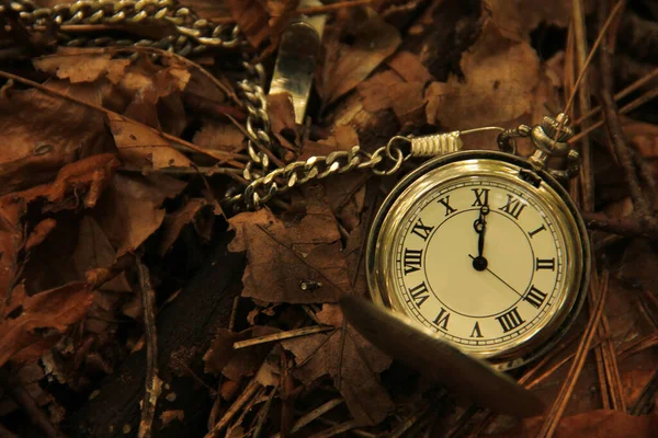 Moderne Und Dekorative Wanduhr — Stockfoto