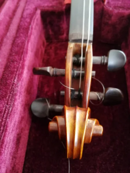 Violino Curvar Caso Vermelho Escuro Fechar — Fotografia de Stock