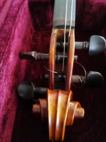 Violino Fiocco Custodia Rosso Scuro Vicino — Foto Stock