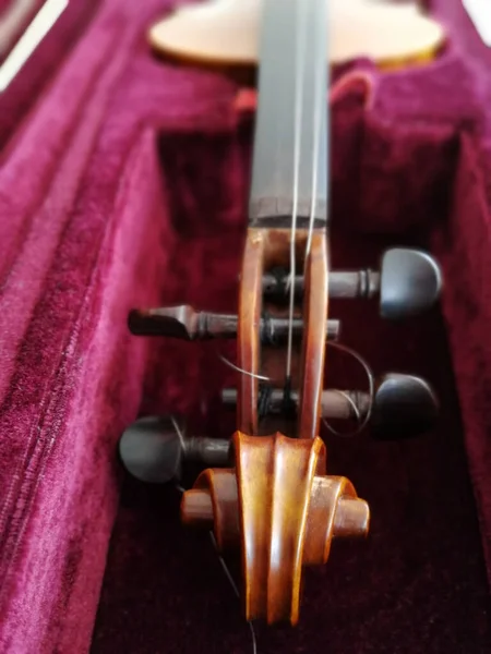 Violino Fiocco Custodia Rosso Scuro Vicino — Foto Stock