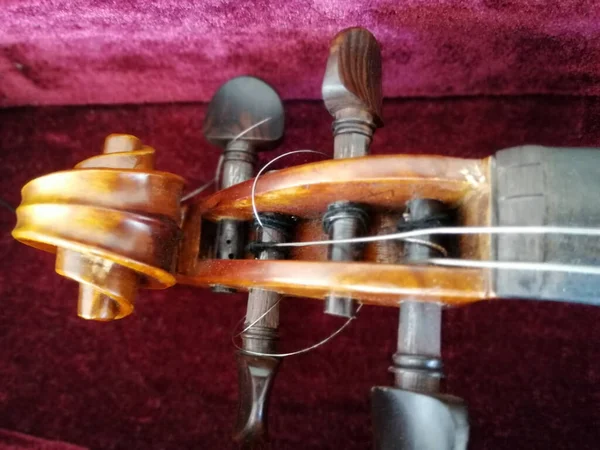 Violin and bow in dark red case. Close up