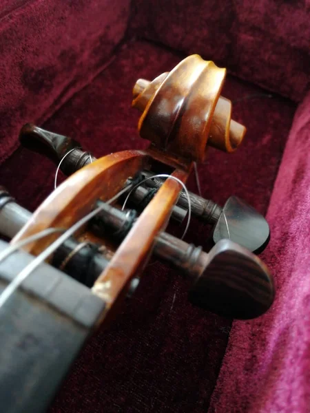 Violino Curvar Caso Vermelho Escuro Fechar — Fotografia de Stock