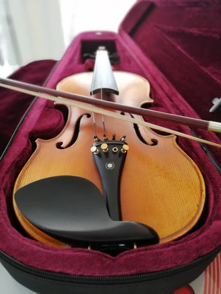 Violin and bow in dark red case. Close up