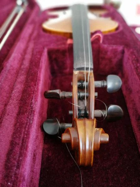 Violino Curvar Caso Vermelho Escuro Fechar — Fotografia de Stock