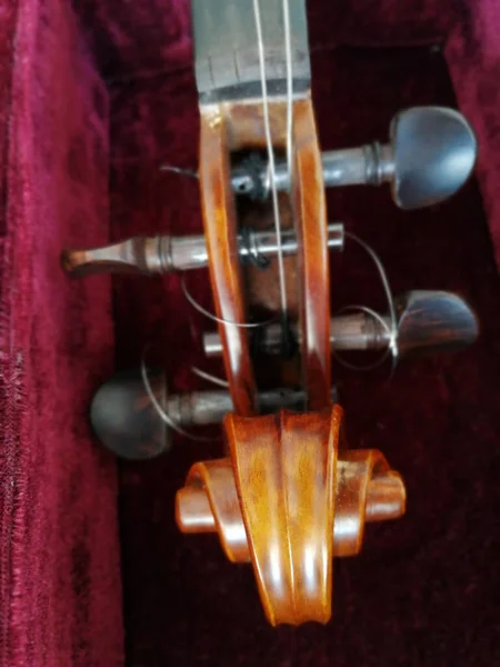 Violino Curvar Caso Vermelho Escuro Fechar — Fotografia de Stock