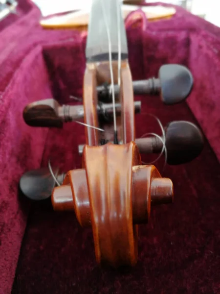 Violino Fiocco Custodia Rosso Scuro Vicino — Foto Stock