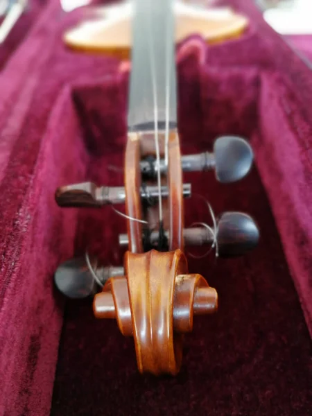 Violino Fiocco Custodia Rosso Scuro Vicino — Foto Stock