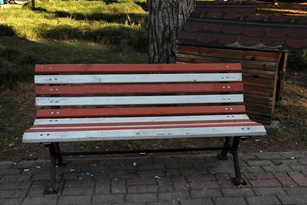 Stylish Modern Bench Garden — Stock Photo, Image