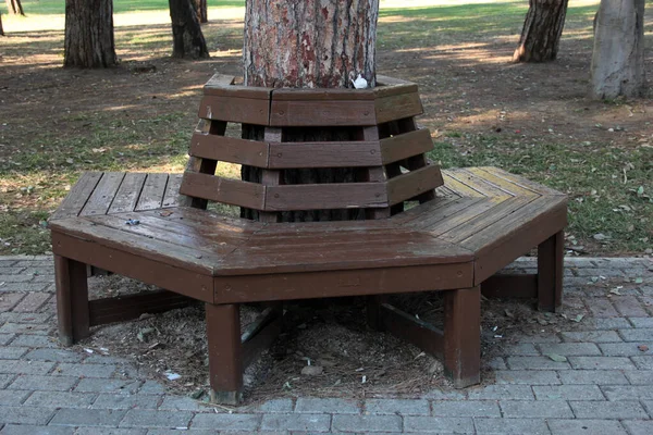 Banc Élégant Moderne Pour Jardin — Photo