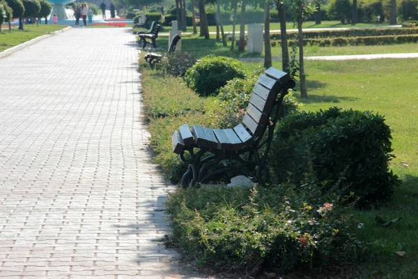 Panca Elegante Moderna Giardino — Foto Stock