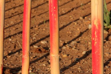 Yolda renkli demir bariyer var.