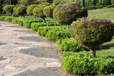 Parktaki çocuk parkı.