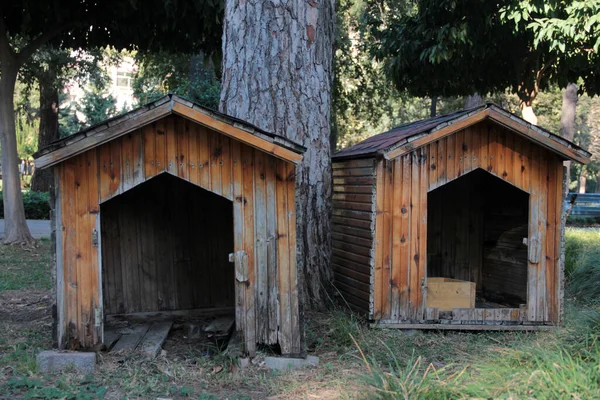 Hout Decoratieve Vogelhuisje — Stockfoto