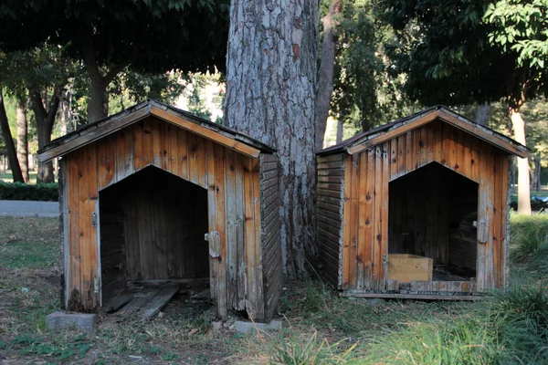 Hout Decoratieve Vogelhuisje — Stockfoto