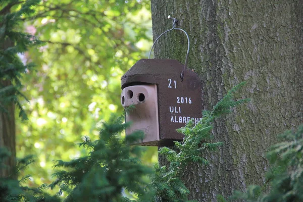 Hout Decoratieve Vogelhuisje — Stockfoto