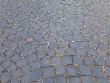 Parktaki dekoratif taş kaldırım yolu.