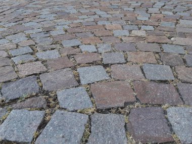 Parktaki dekoratif taş kaldırım yolu.