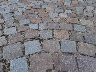 Parktaki dekoratif taş kaldırım yolu.