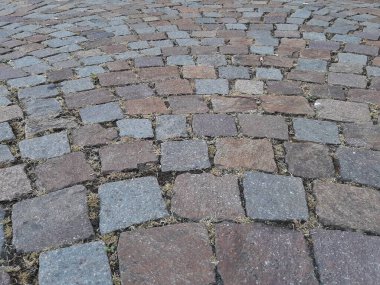 Parktaki dekoratif taş kaldırım yolu.