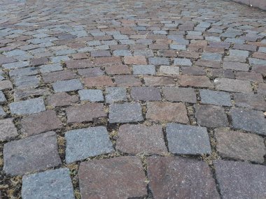 Parktaki dekoratif taş kaldırım yolu.