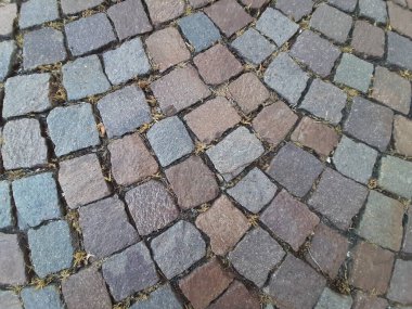 Parktaki dekoratif taş kaldırım yolu.