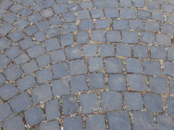 Parktaki dekoratif taş kaldırım yolu.