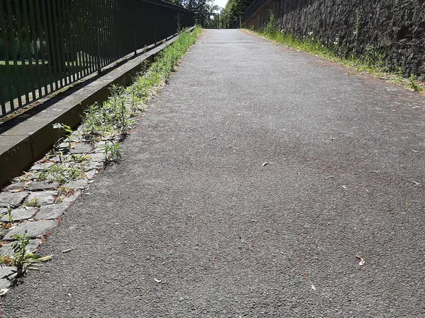 Parktaki dekoratif taş kaldırım yolu.