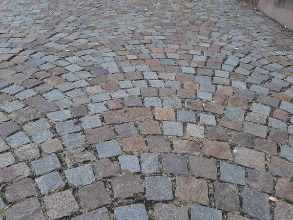 公園内の石畳の装飾道路 — ストック写真