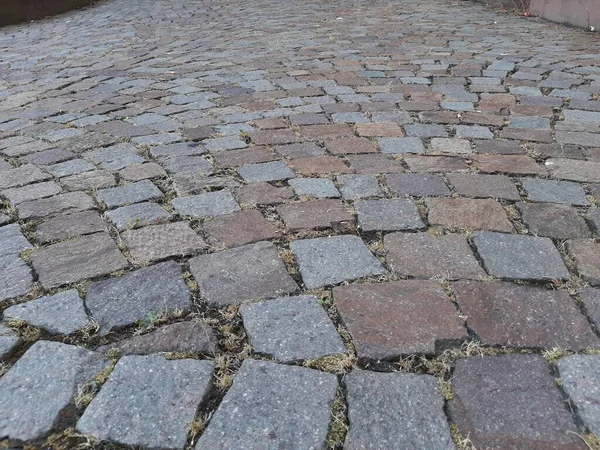 公園内の石畳の装飾道路 — ストック写真