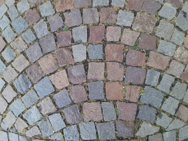 Parktaki dekoratif taş kaldırım yolu.