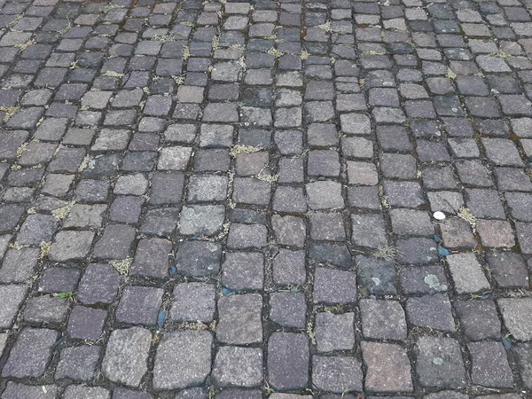 Decorative Stone Pavement Road Park — Stock Photo, Image