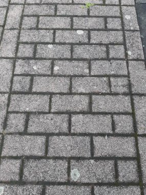Parktaki dekoratif taş kaldırım yolu.