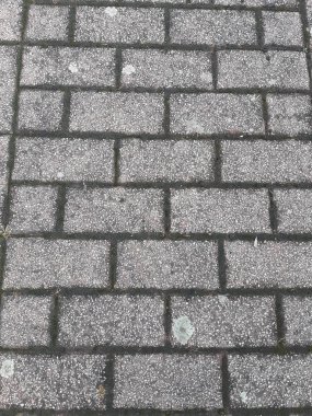 Parktaki dekoratif taş kaldırım yolu.