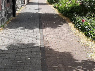 Parktaki dekoratif taş kaldırım yolu.