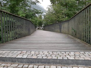 Parktaki dekoratif taş kaldırım yolu.