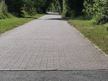 Parktaki dekoratif taş kaldırım yolu.