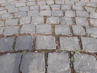 Parktaki dekoratif taş kaldırım yolu.