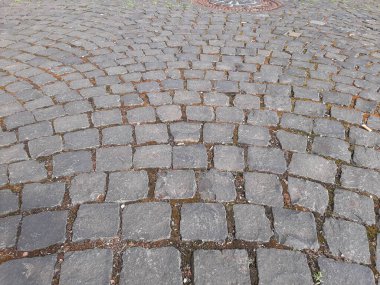 Parktaki dekoratif taş kaldırım yolu.