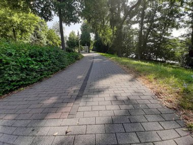 Parktaki dekoratif taş kaldırım yolu.