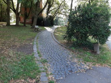 Parktaki dekoratif taş kaldırım yolu.