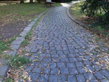 Parktaki dekoratif taş kaldırım yolu.