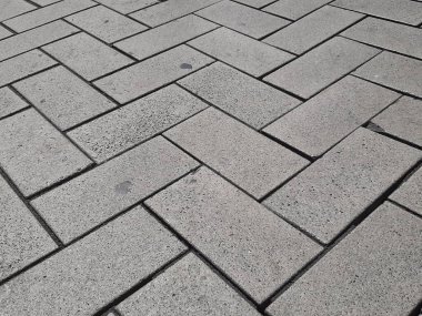 Parktaki dekoratif taş kaldırım yolu.